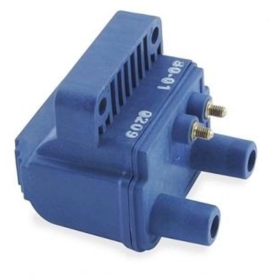 Trunk Or Hatch Switch by BLUE STREAK (HYGRADE MOTOR) - DS2399 gen/BLUE STREAK (HYGRADE MOTOR)/Trunk Or Hatch Switch/Trunk Or Hatch Switch_01